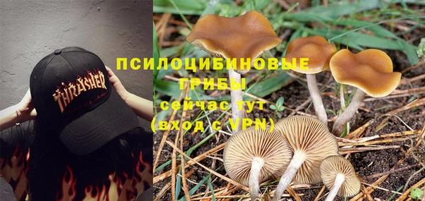 таблы Армянск