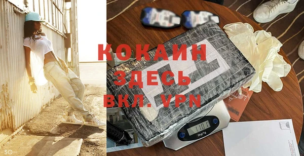 твердый Арсеньев