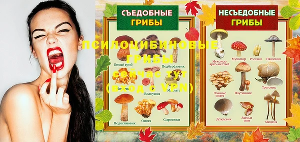 таблы Армянск