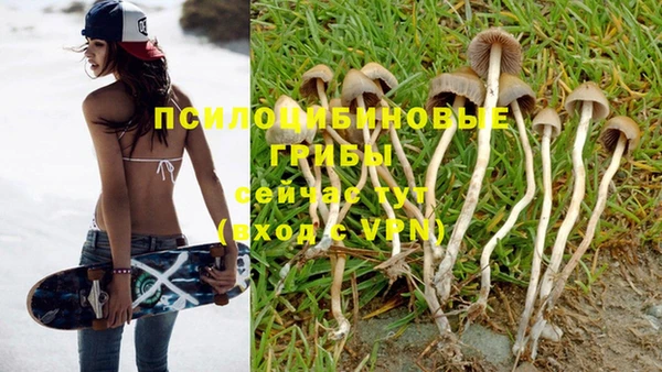 мяу мяу кристалл Аркадак