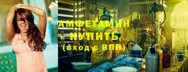 твердый Арсеньев