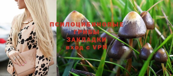 мяу мяу кристалл Аркадак